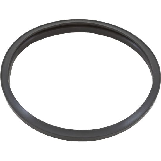 CX-250F Gasket Hayward Star-Clear Tank Body O-305