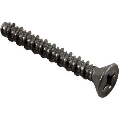 R172483 Screw Pentair Rainbow DSF/Safety Skimmer 13-16 x 1-5/8