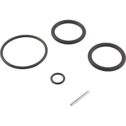 263054 Kit O-ringsIncludes all valve O-rings