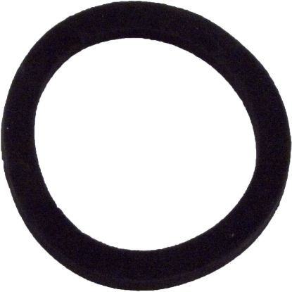 51021500 Gasket Pentair Eclipse Bulkhead 2-7/8"ID 3-5/8"OD