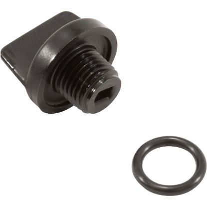 U178-920PZ Drain Plug Pentair Sta-Rite 1/4