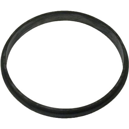 17290-0004 Baffle Ring Pentair Sta-Rite JW ABG