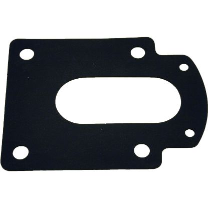 91500250 Gasket AquaFlo A 100% Drain Trap Body Special