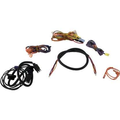 R0457600 Wire Harness Zodiac Jandy LXi