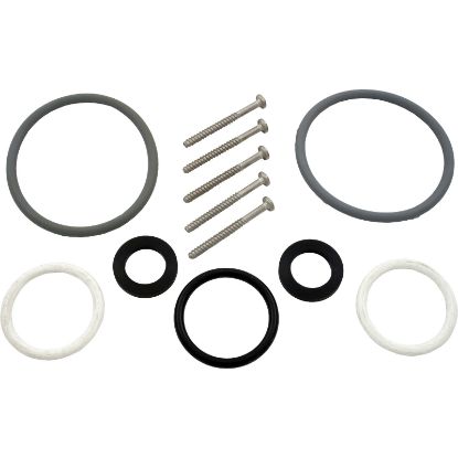 R0386100 O-Ring Kit Zodiac Laars Hot Shot