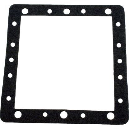 806-1040 Gasket Waterway FloPro/Front Access Skim Filter Faceplate