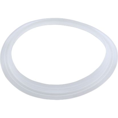 946600 Gasket "L" Balboa Water Group Cyclone Jet