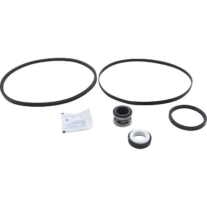 PSK-HA2 Pump Rebuild Kit Hayward 1600/2600/2600X with Viton Seal