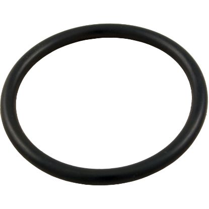 35505-1424 O-Ring Pentair Sta-Rite System 2/System 3 Drain Plug O-83