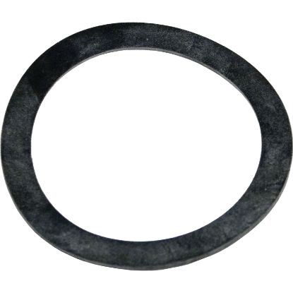 154538 Gasket Pentair Mytilus/Mitra Bulkhead 2-3/8