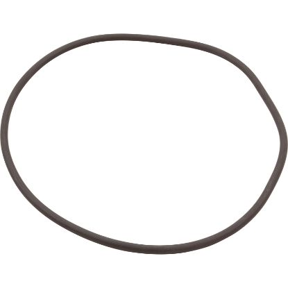 35505-0421 O-Ring Pentair C/CC/D Series Pkg 184/184C Trap Lid