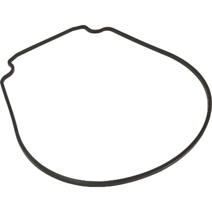 634070 Gasket Waterco HydroStar Seal Plate