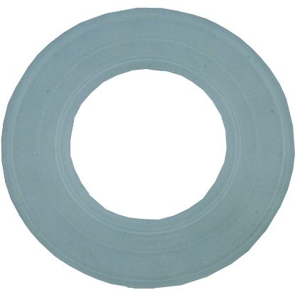 79116800 Light Gasket Pentair Aqualuminator