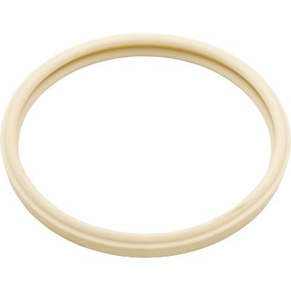 79101601Z Gasket Pentair American Products Amerquartz Light Lens