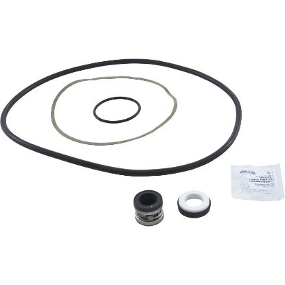 PSK-ST2 Pump Rebuild Kit Sta-Rite PE/PEA/P2R/P2DRA/AJ w/Viton Seal