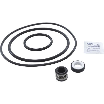 PSK-PF2 Pump Rebuild Kit Pentair/PacFab Pinnaclew/Viton Shaft Seal