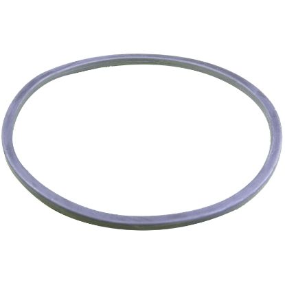 236950 O-Ring Square S1