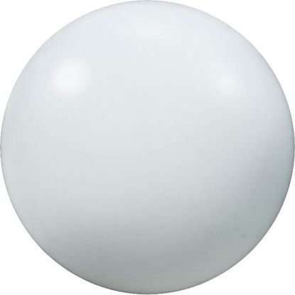 R172435 Ball 1" Poly Check