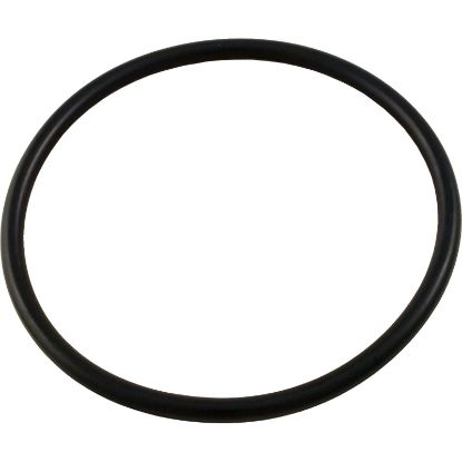 35505-1425 O-Ring Pentair Sta-Rite System 3 Bulkhead O-283