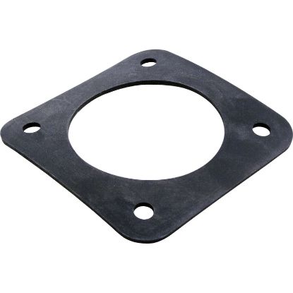 C20-123 Gasket Pentair Trap Body to Volute 3-1/8