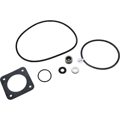 PP1000 Seal Kit Pentair Sta-Rite DuraGlas Pre 1998