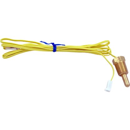 471566 Thermistor Probe Pentair Minimax NT