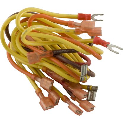 R0059800 Wire Harness Zodiac Laars Lite