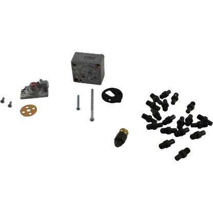 004690B Conversion Kit Raypak R185A/R185B/R265A/R265B Nat. to LP