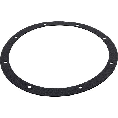 G-168 Gasket Amerlite/Amerquartz Niche Generic