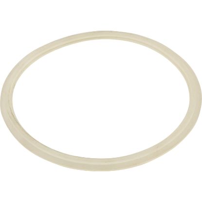 25140-000-040 Skimmer Body Float Valve Gasket