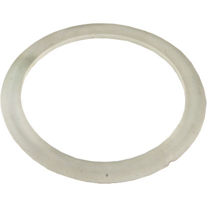 711-4200 Gasket Waterway CrystalWater 2-1/2