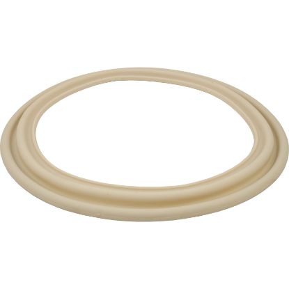 ECX5000G Gasket Hayward Perflex EC50C Tube Sheet