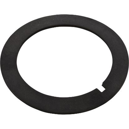 G-380 Gasket Titan/SandpiperBulkhead2-5/8