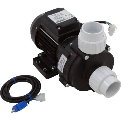 993-0265A-L48-S Pump Baptistry HQ 1/8hp230v1-Spd1-1/2