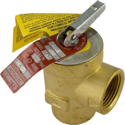 072138 Relief Valve Pentair Minimax Plus/PowerMax 3/4"