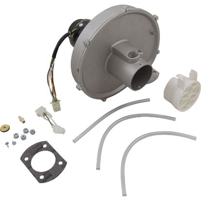 77707-0251 Blower Kit Pentair MasterTemp 175/200/Max-E-Therm 200 Nat.