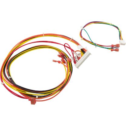 014885F Wire Harness Raypak 156A Digital