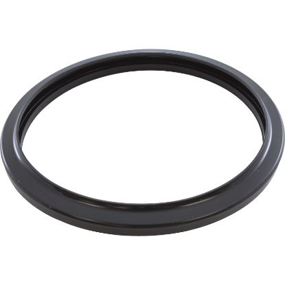 R0451101 Light Gasket Zodiac Pool Silicone