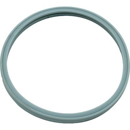 614516 Light Lens Gasket Pentair PacFab Pool Star Hatteras