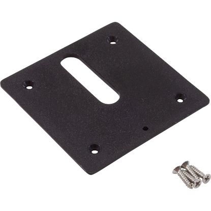 MJ6350 Jandy Pro Series Minijet Cover Plate Screws Black