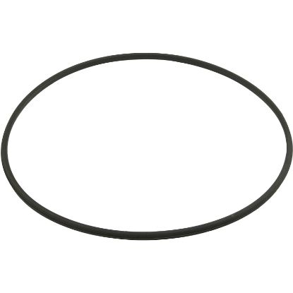 DEX2422Z2 Gasket Hayward SwimclearTank Lid19-13/16