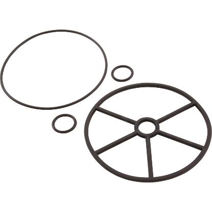 4404120107 Gasket Astral Selector Valve 1-1/2