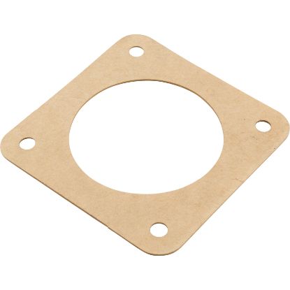 C20-19 Gasket Sta-Rite Dura-Glas Volute4-5/16" x 4-5/16" OEM