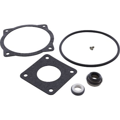 93500200-2 Seal Kit Val-Pak AquaFlo A Series 3.0hp