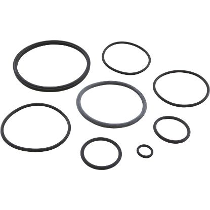 R0502500 O-Ring Kit Zodiac Nature2 Fusion