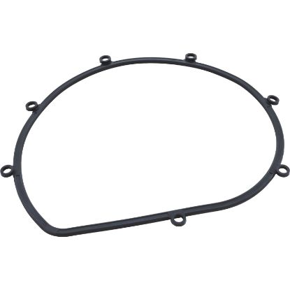 2923141010 Gasket Speck 21-80 All Models Seal Plate