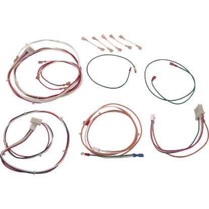 470965 Wire Harness Pentair PowerMax