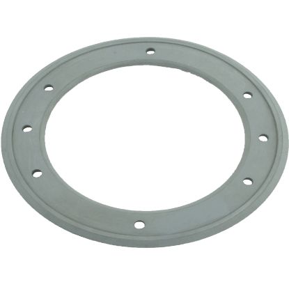 670012 Light Niche Gasket Pentair Spa Light Rubber