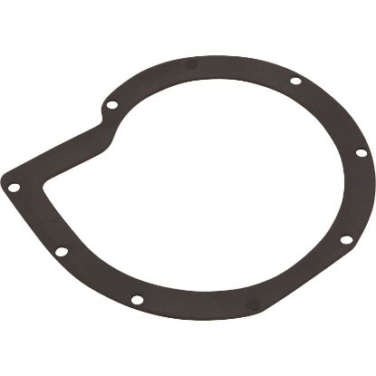 G-223 Gasket Sta-Rite LT Volute Generic