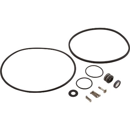 FPP5000 Seal and Gasket Kit Pentair Flotec FP5100 Series